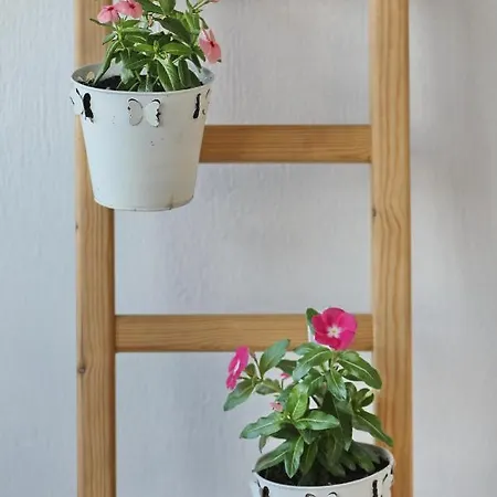 Esperides Quiet Apartment Aigli With Amazing View Apartament